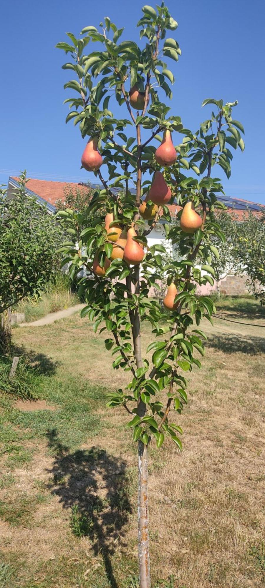 Hotel Cider&Squash, Grncarska 8, Prnjavor Batocina 외부 사진